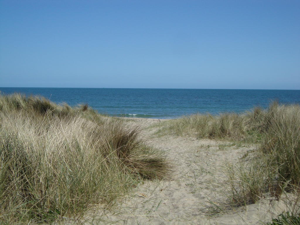 Clifford House B & B Rosslare Harbour Exterior photo